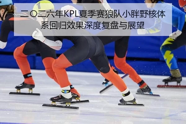er-ling-er-liu-nian-xia-ji-sai-lang-dui-xiao-pang-ye-he-ti-xi-hui-gui-xiao-guo-shen-du-fu-pan-yu-zhan-wang-1-329.jpg